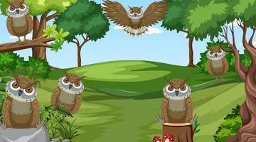 Owl birds in the forest scene vector