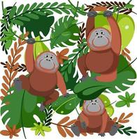 lindo orangután de patrones sin fisuras vector