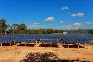 Solar cells on a big field photo