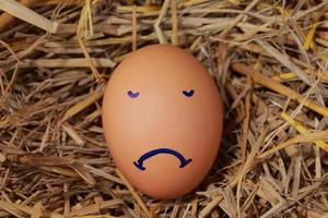 Emotion of fresh eggs  on a straw. photo