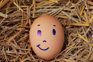 Emotion of fresh eggs  on a straw. photo