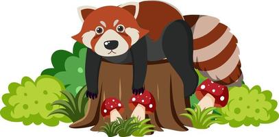 Cute red raccoon in flat cartoon style vector