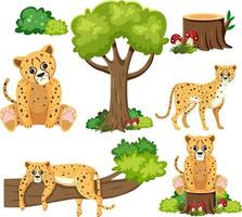 Wild animals set with nature elements vector