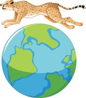 December cheetah day icon on white background vector