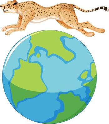 December cheetah day icon on white background