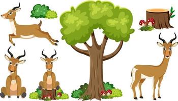 Wild animals set with nature elements vector