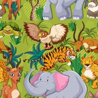 Cute wild animals seamless pattern vector