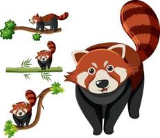 conjunto de diferentes pandas rojos vector