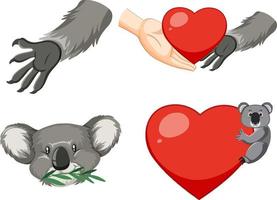 conjunto de dibujos animados de koala y corazón vector