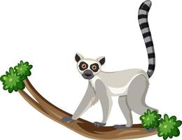 Lemur climb on tree branch vector