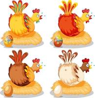 Cute chicken laying eggs vector