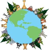 Wild animals around the world vector