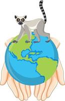 Meerkat with earth globe in human hands vector