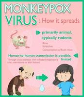 Monkeypox virus symptoms infographic vector