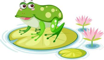 Cute frog on lily pad on white background vector