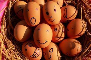 Emotion of fresh eggs  on a straw. photo