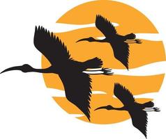 Silhouette stork birds flying vector