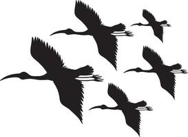Silhouette stork birds flying vector