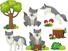 Wild animals set with nature elements vector