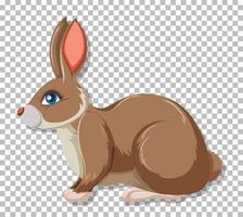 Cute rabbit on grid background vector