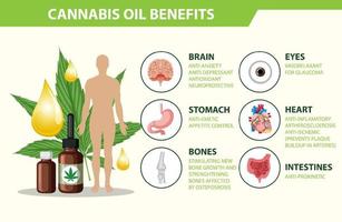 Benefits of CBD for physical health diagram vector