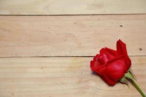 Design Beautiful red roses on old aged wood background. valentine concept. Space for text. photo