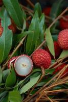 Lychee, Fresh lychee and peeled showing the red skin and white flesh with green leaf . photo