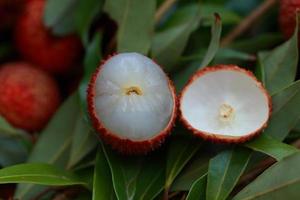 Lychee, Fresh lychee and peeled showing the red skin and white flesh with green leaf . photo