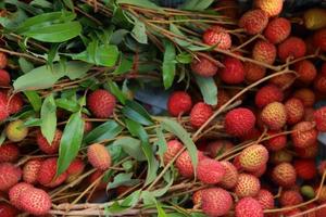 Lychees Fresh fruit a lot of them are sold for sale in the market. photo