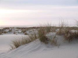 Borkum island in germany photo