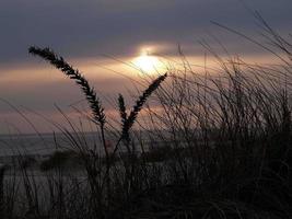 Borkum island in germany photo