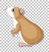 Hamster in cartoon style vector