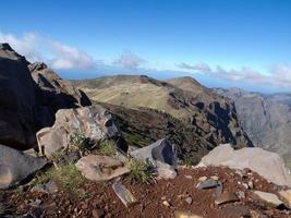 funchal and the island madeira photo