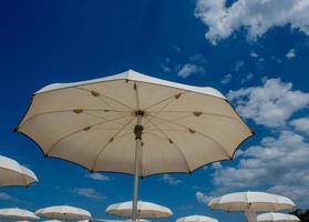 White umbrellas open on the beach photo