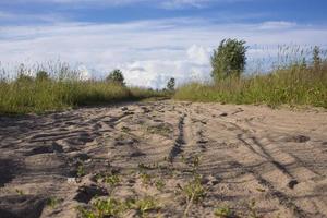 Ttrace of the hoof of the horse on the sandy road in the woods photo