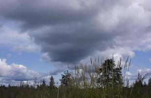 landscape with majestic beautiful dramatic pre-threatening sky. Cloudy sky photo