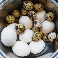 Different eggs background. Quail eggs on white dish, There are many sizes and patterns are different. photo
