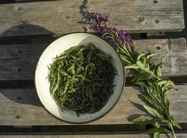 Process of fermentation of tea. Manual processing Ivan tea fermentation photo