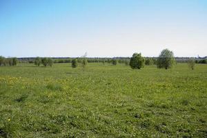 Beautiful landscape of the Russian North in the leningrad region Summer landscape cloudy sky and blooming Ivan-tea in the Leningrad region. photo