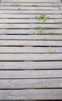Wooden pallet planks with grass and wild flowers, copy space background photo