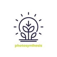 icono de la línea de fotosíntesis con planta y sol vector