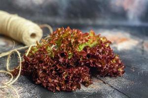 Leaves of green and red lettuce. Spring harvest, benefits and vitamins. On a dark background. photo