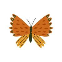 mariposa dibujada a mano en estilo plano. ilustración infantil vector