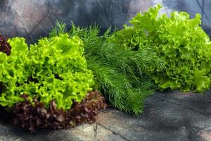 Fresh vegetables for salad. Tomatoes and lettuce, cucumbers with zucchini and cabbage with dill. Spring harvest, benefits and vitamins. On a dark background. photo