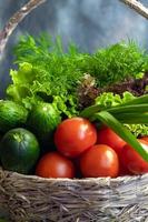 Fresh vegetables for salad in a basket. Tomatoes and cucumbers with zucchini and cabbage with dill. Spring harvest, benefits and vitamins. On a dark background. photo