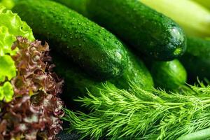 Fresh vegetables for salad. Tomatoes and lettuce, cucumbers with zucchini and cabbage with dill. Spring harvest, benefits and vitamins. On a dark background. photo