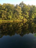 A river or lake surrounded by trees photo