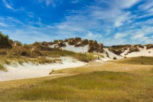 dune at Tegel island photo