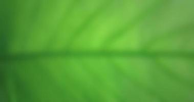 Defocused, natural abstract background. for mobile app etc. photo