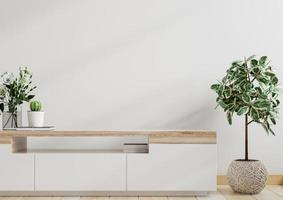 Mockup white wall with ornamental plants and decoration item on cabinet.